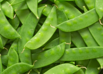 Peas Snow IFCO RPC 20lb product image
